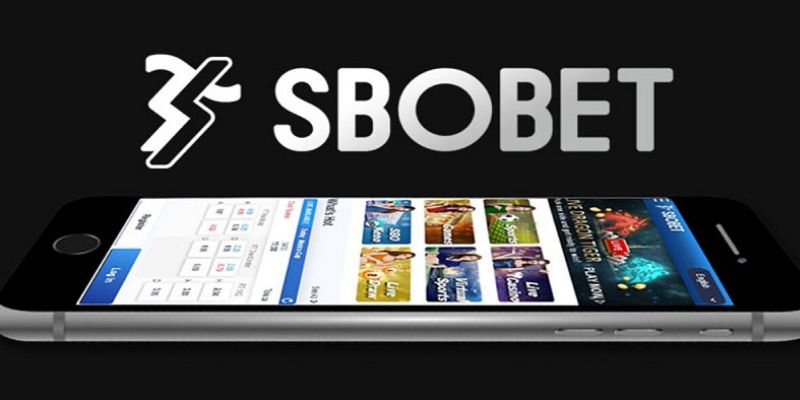 Lý do bạn nên tải ứng dụng Sbobet cá cược trên điện thoại